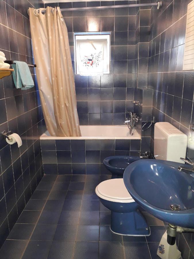 Apartmani Ana Novi V. - Studio ノヴィ・ヴィノドロスキー エクステリア 写真